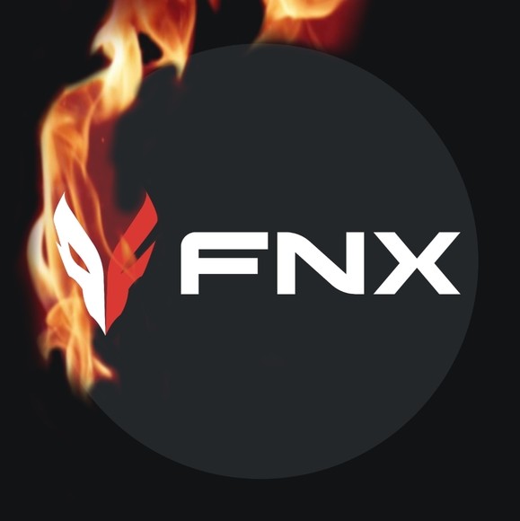 FNX - Picture 6 of 7